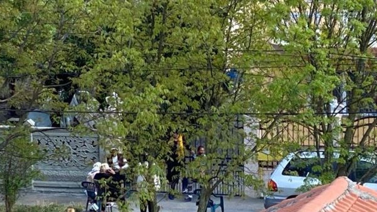 Arhiva foto