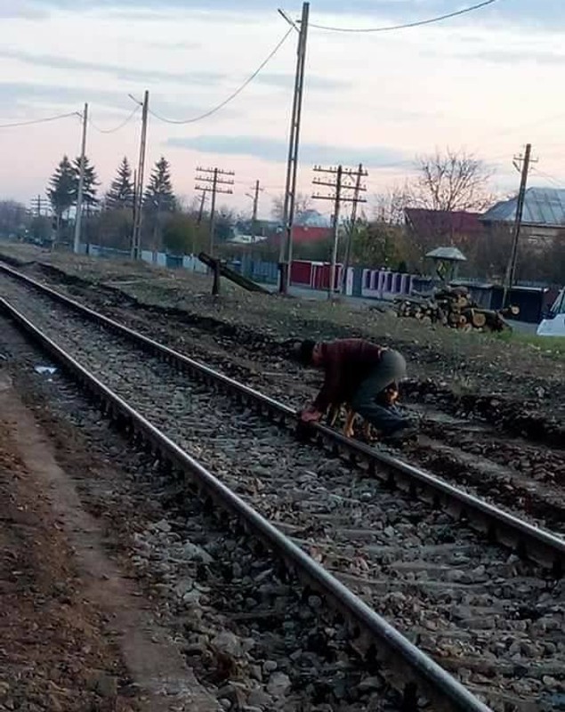 Câine legat cu lanțul de calea ferată de către un bătrân din Neamț supărat că animalul lătra și ataca găinile - FOTO