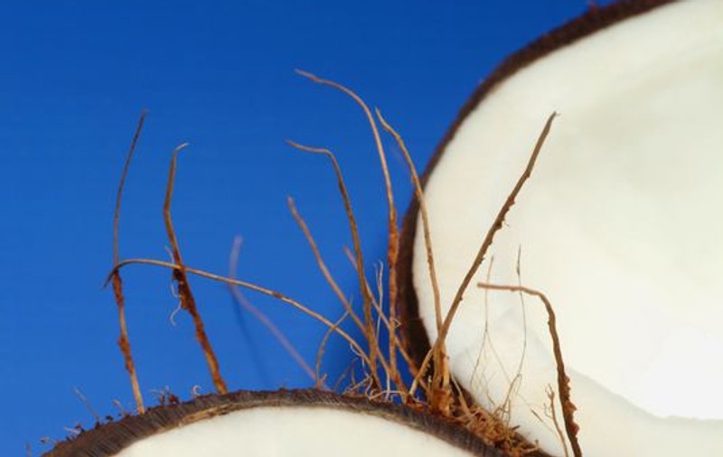 A spart patru nuci de cocos cu un deget 