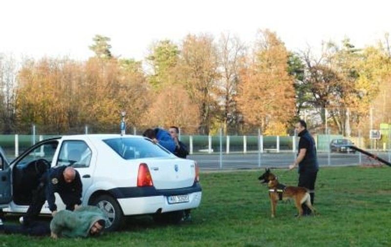 Câinii-poliţişti din Republica Moldova vor fi dresaţi în România