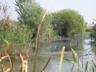 Arhiva foto