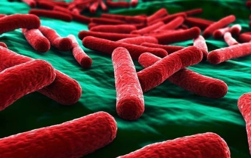 Descoperire îngrijorătoare în SUA: Autoritățile medicale au găsit o bacterie rezistentă la orice antibiotic