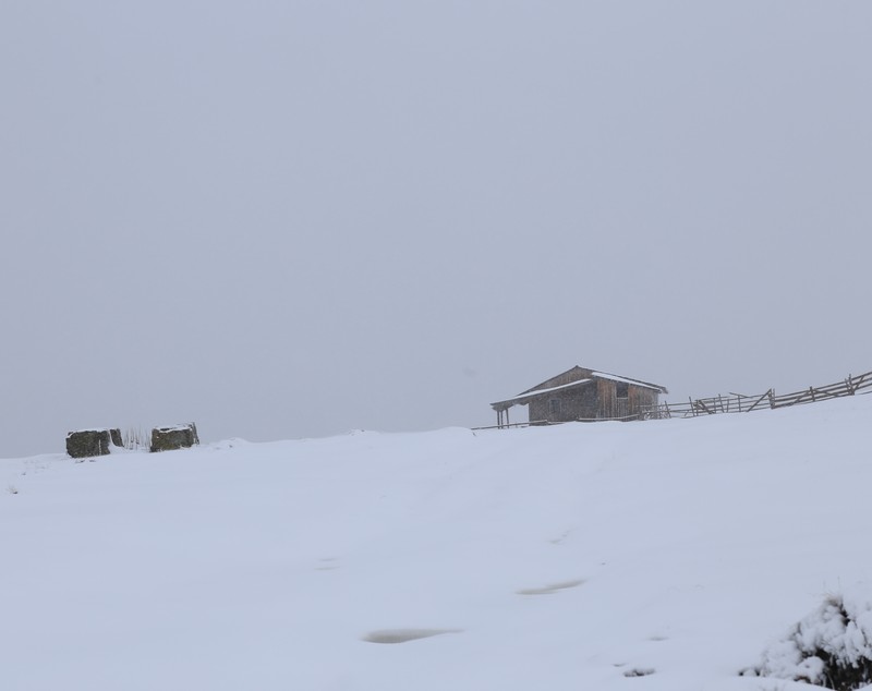 FOTO Peisaj feeric la munte! A nins ca în plină iarnă pe Valea Prahovei