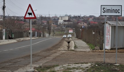 Arhiva foto
