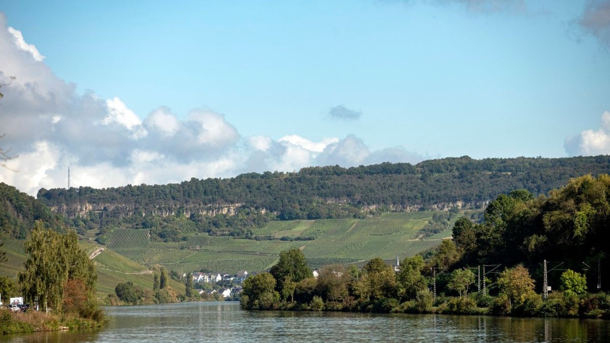 Podgorii de viță de vie care acoperă dealurile care înconjoară râul Moselle, atât pe malul german, cât și pe cel luxemburghez.