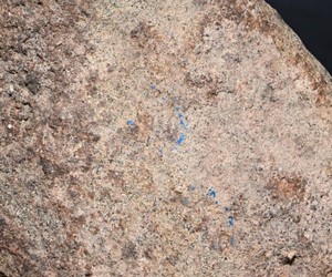 Pigment albastru Epoca de Gheață (2)