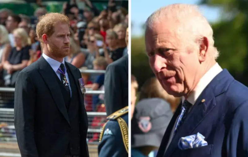 Prințul Harry primește din nou protecție armată în Regatul Unit: decizia care poate schimba relația cu regele Charles
