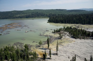 Fotografie din 5 august 2014 cu efectele deversării iazului de decantare de la Mount Polley în lacurile vecine. Foto: Profimedia