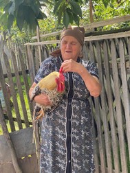 Arhiva foto