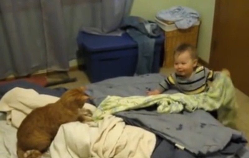 ACEST BEBE RÂDE MOLIPSITOR! Uite cât de mult îl amuză pisica | VIDEO