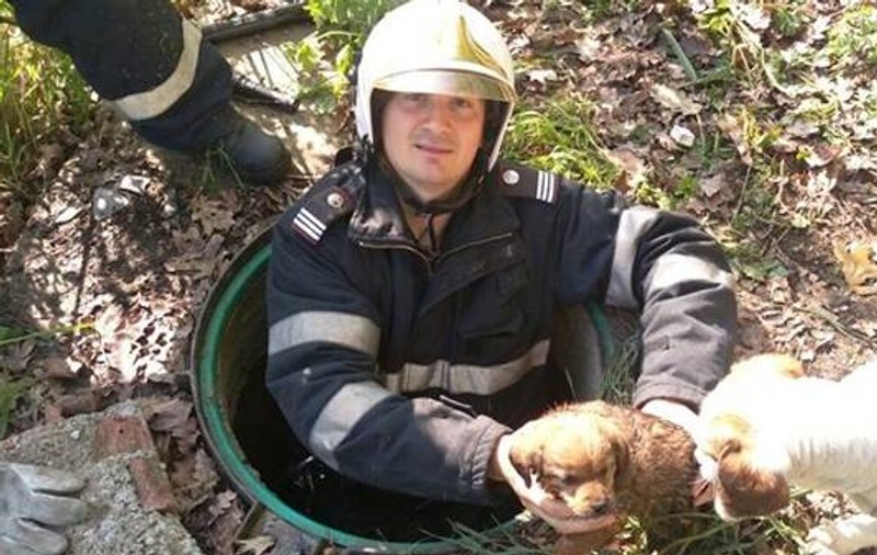 Misiune APROAPE IMPOSIBILĂ! Pompierii au salvat un cățel dintr-un canal extrem de îngust