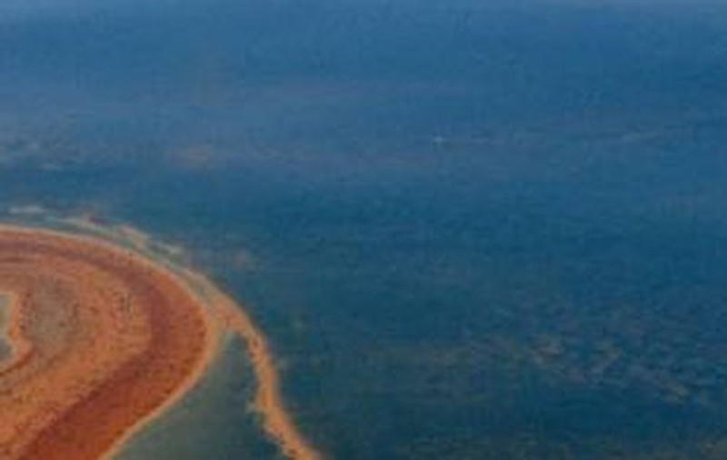 COŞMARUL de la MAMAIA. Turiştii au intrat în apă şi au înlemnit 