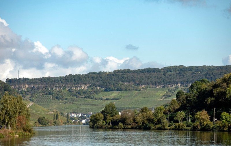 Drum deschis până la podgoriile rustice din Luxemburg: transportul public este gratuit pentru toată lumea, inclusiv pentru turiști