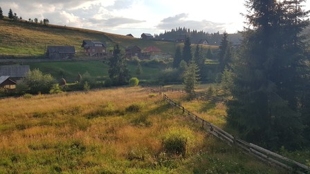 Arhiva foto