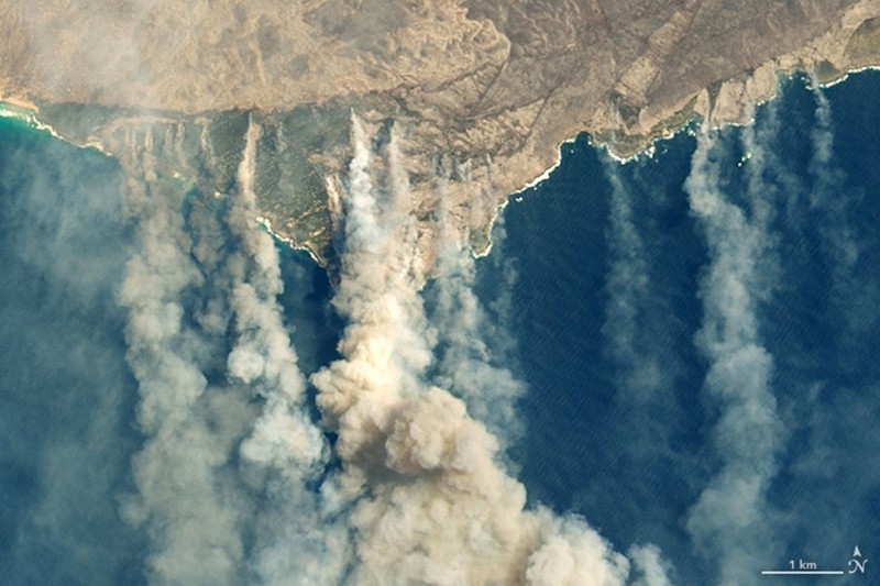 Incendiile au devastat Insula Cangurilor din Australia | FOTO: EPA