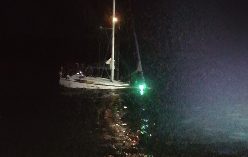 Trei orci au atacat un vas elvețian și l-au scufundat, în largul coastelor Gibraltarului. Echipajul a fost salvat de Garda de Coastă