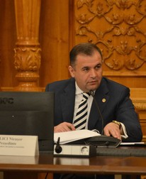 Nicușor Halici, deputat PSD
