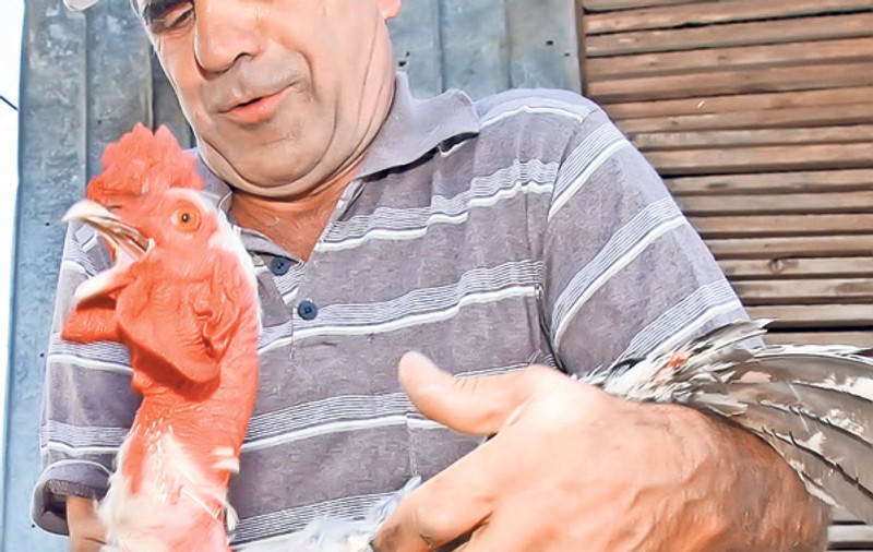 REFERENDUM 2012 | Cocoşul Băse nu va mai ajunge în ciorbă!