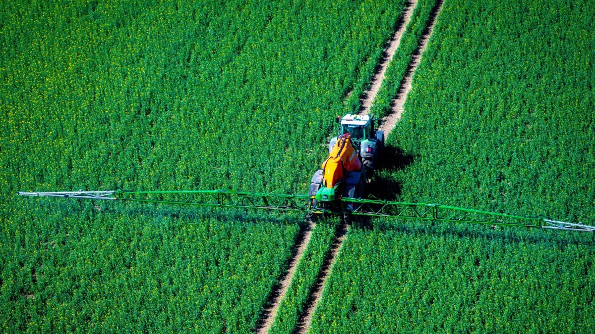 un tractor trage o stropitoare peste un câmp de rapiță și pulverizează pesticide Mecklenburg-Western Pomerania, Germania, 15 aprilie 2025