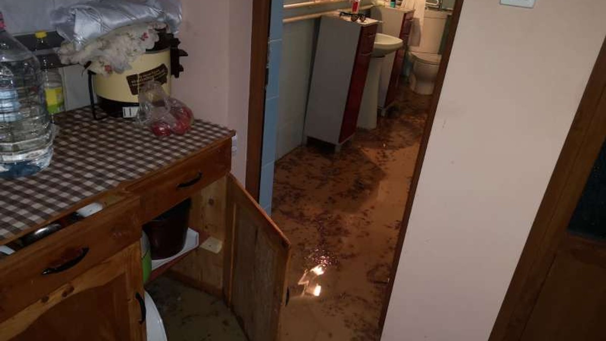 Peste 100 de case au fost inundate în urma ploilor torenţiale din județul Mureș FOTO: ISU Mureș