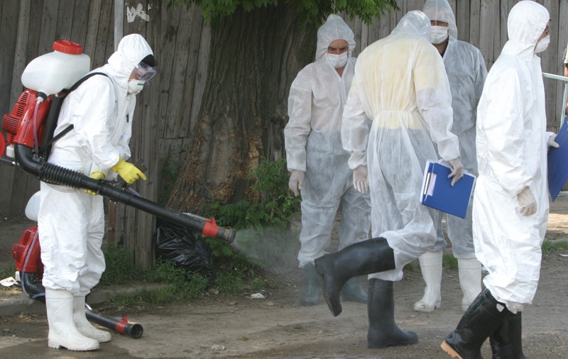 Gripă aviară în județul Prahova. Peste 200 de păsări au fost sacrificate