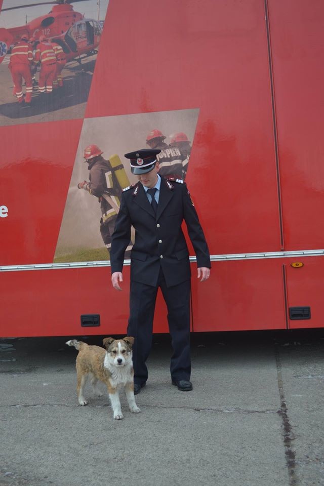Cățelușul Moby a devenit mascota ISU Mureș. Patrupedul a fost salvat de pompieri dintr-un incendiu violent