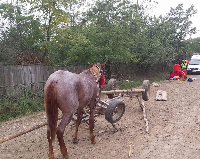 Accident tragic! Căruța în care se aflau doi copii s-a răsturnat GALERIE FOTO