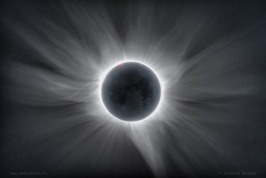 Eclipsa din 2016 văzută din Indonezia