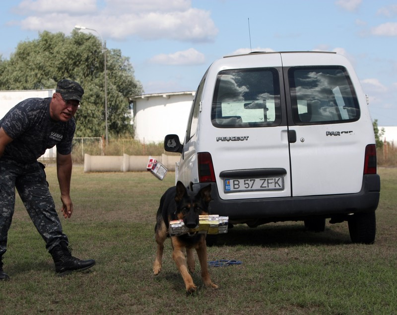 EXCLUSIVITATE  ”Am învățat mecanică în vamă, la serviciu”. Inspectorul vamal Doru Gârlea spune că s-a ”recalificat” la locul de muncă din cauza traficanților din ce în ce mai inventivi