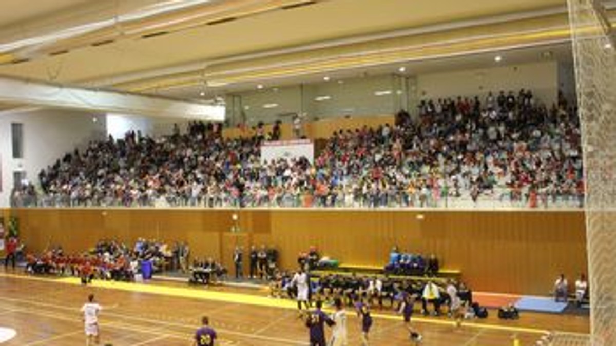 Portugalia - România, meciuri amicale la handbal masculin. Tricolorii au pierdut primul test. Al doilea joc e vineri