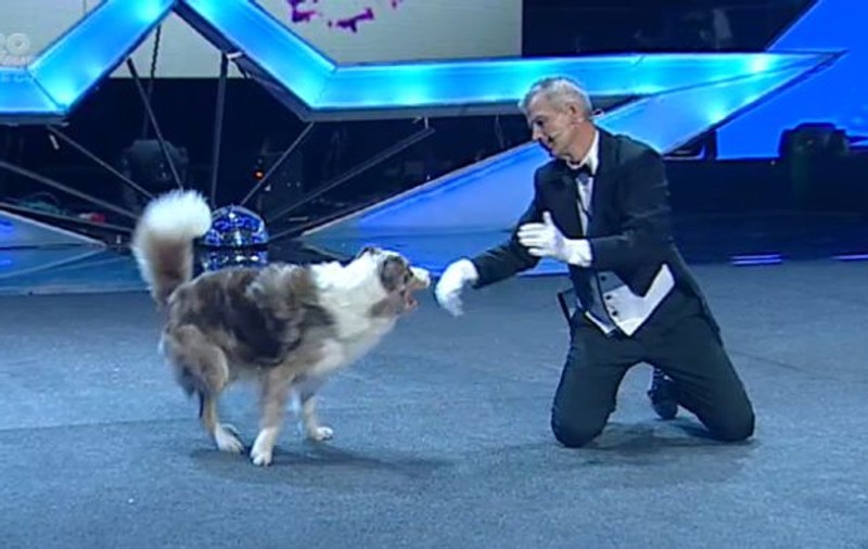 Bruno Icobeţ şi câinii lui, cel mai aşteptat moment al serii la "Românii au talent"!  | FOTO