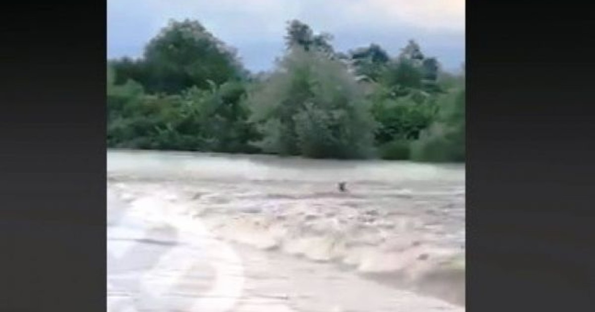Bărbat luat de viitură în Răcari, Dâmbovița. Omul a fost salvat de săteni