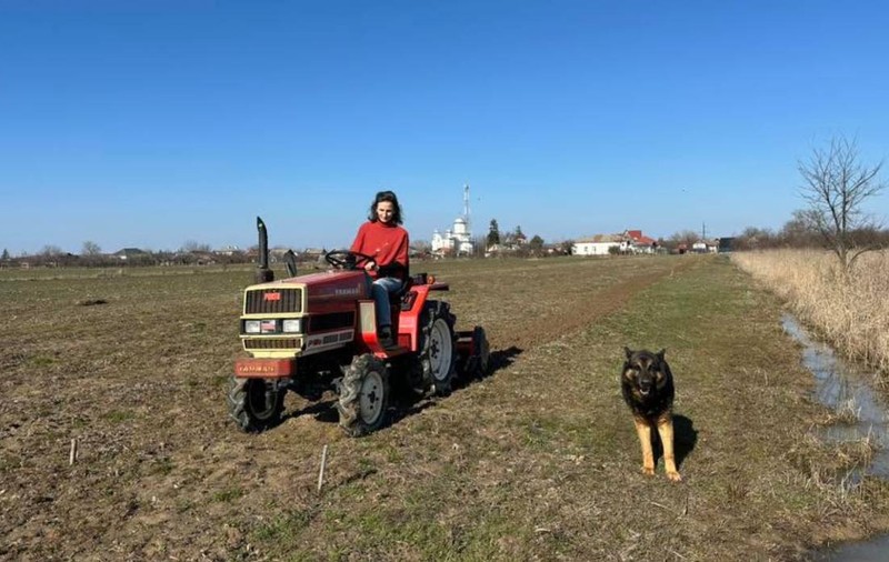 O româncă întoarsă după 10 ani din Germania a încercat un experiment cu sparanghel, iar acum a ajuns la o fermă de 8.000 mp