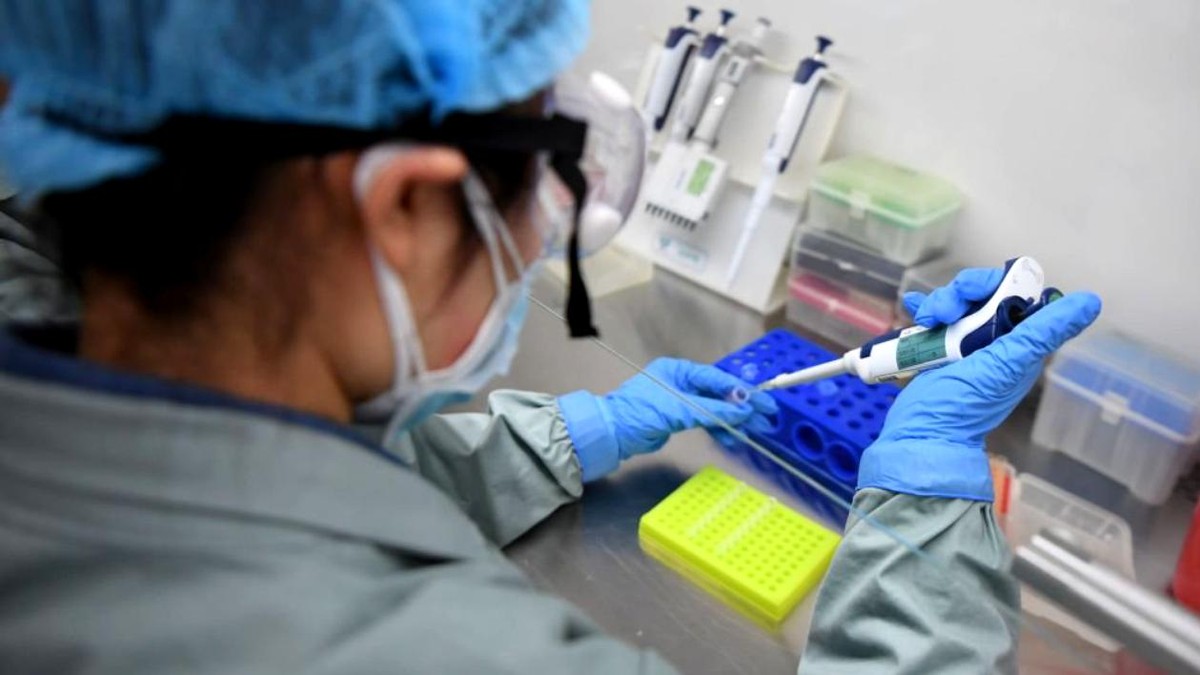 VIDEO Noul test care poate să diagnosticheze COVID-19 în 40 de minute, cu acuratețe de 95% și fără echipament sofisticat de laborator. Cum ne poate ajuta la ieșirea din izolare