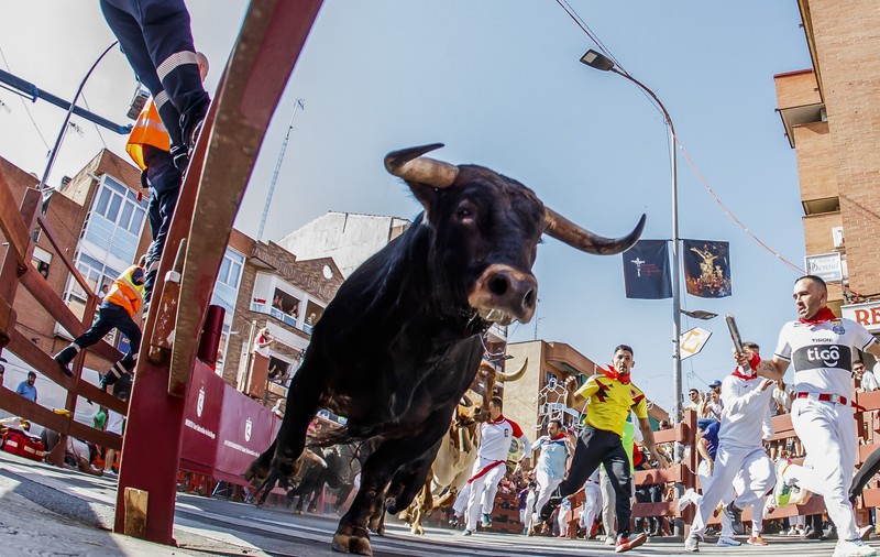 O șoferiță a scăpat cu viață, după ce mașina în care se afla s-a izbit violent de un taur de 300 de kilograme, pe o autostradă din Spania
