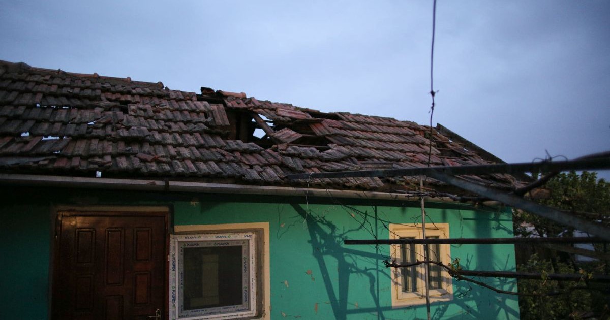 Arhiva foto