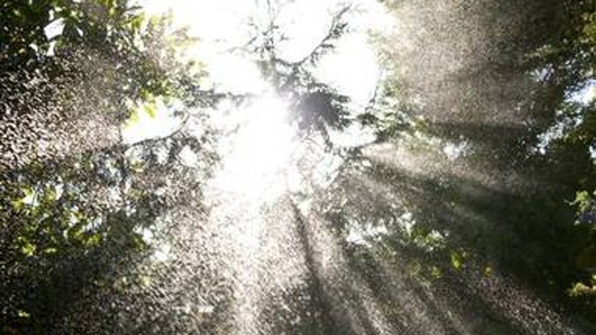 Arhiva foto