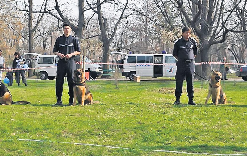 Trupele speciale cu colţi | FOTO