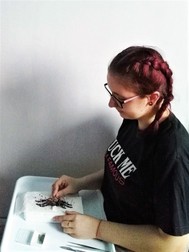 Arhiva foto