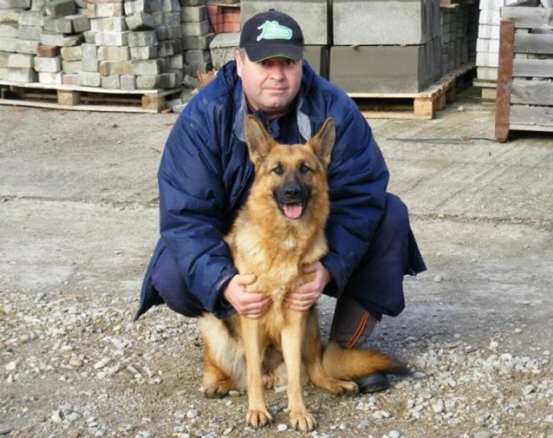 Medicul veterinar care tratează gratis câinii abandonați pe stradă în Bistrița. „Patrupedele sunt fidele, bipezii nu”