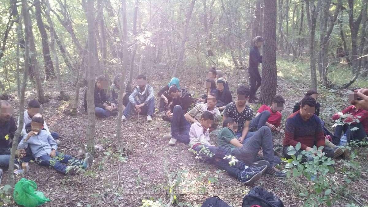 Arhiva foto