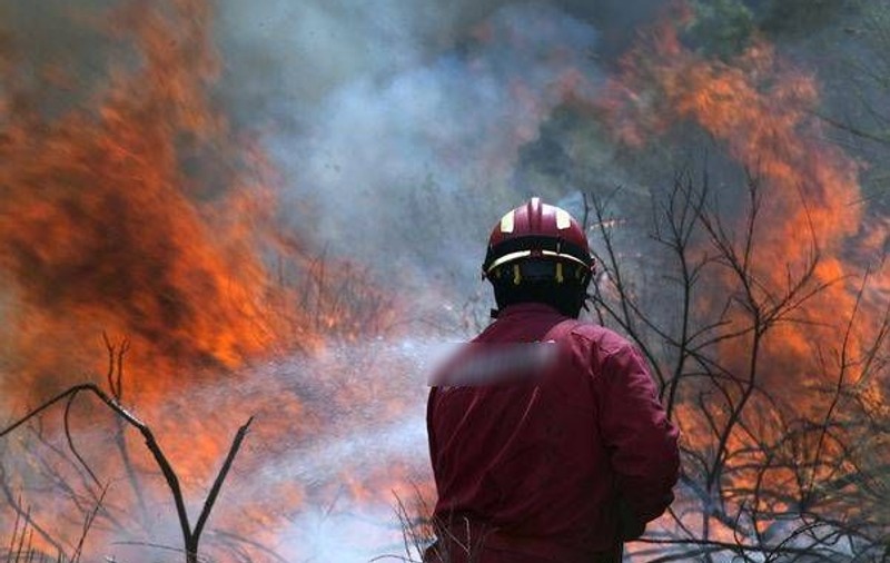 Incendiu de vegetație în Turcia. O casă a fost distrusă și mai multe zone sunt amenințate