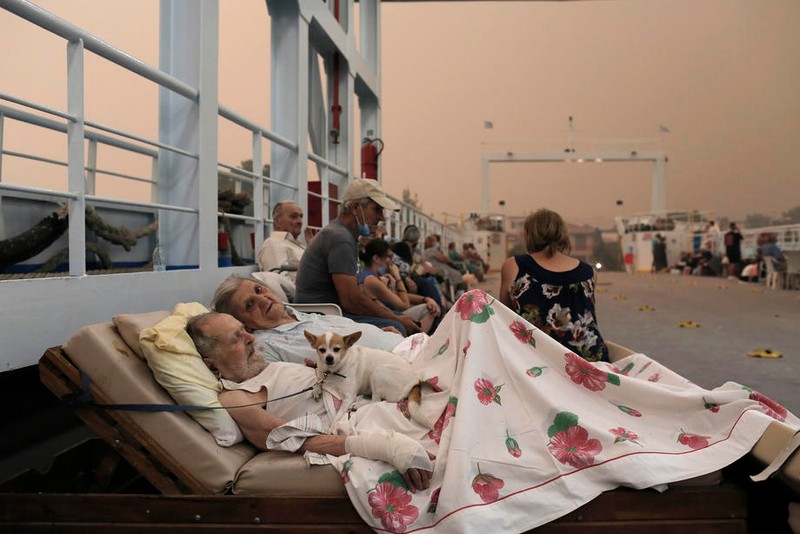 Georgios Liakos, 89 de ani, și Parisso Liakou, 87 de ani, așteaptă alături de câinele lor Bella, pentru a fi evacuați cu feribotul din Pefki de pe insula Evia Foto: EPA-EFE/KOSTAS TSIRONIS