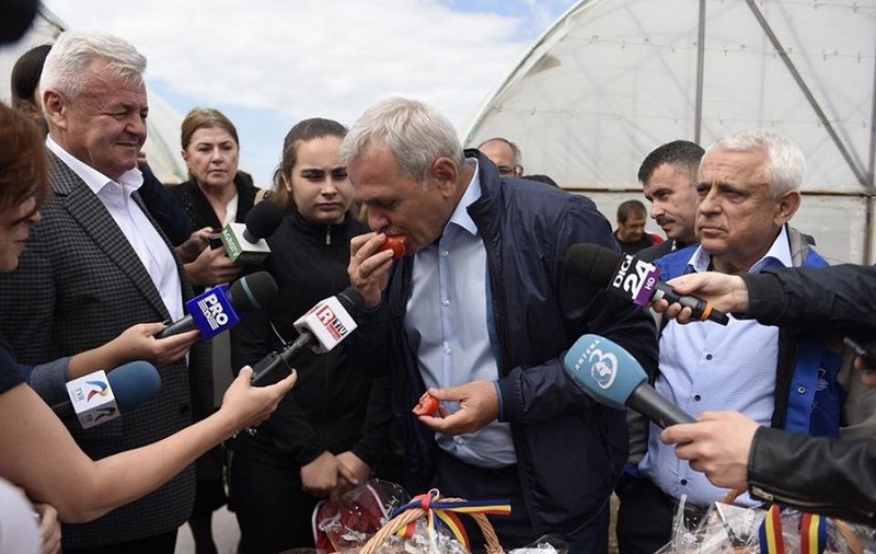Dragnea le răspunde celor care se plâng de preţul roşiilor: "Eu, decât să cumpăr opt roşii cu gust de rumeguş, de afară, mai bine mănânc patru sănătoase, din România"