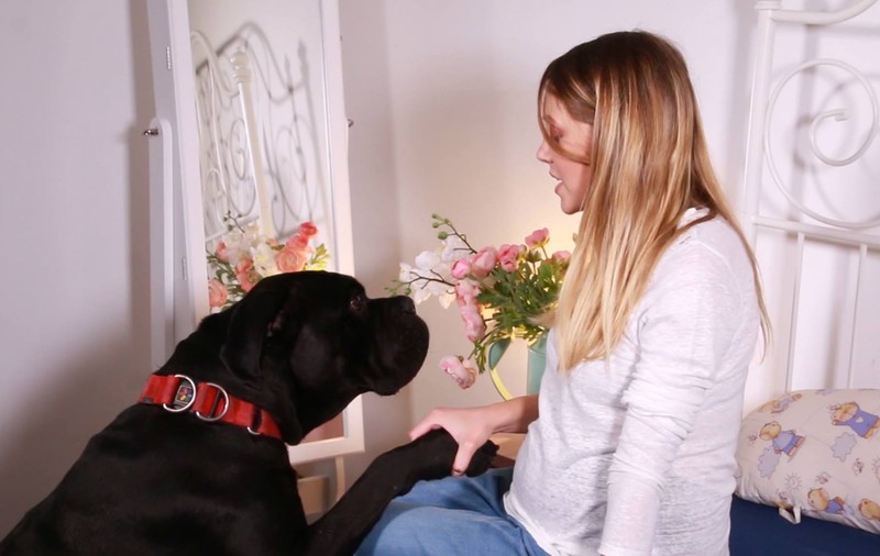 VIDEO/ Andreea și Cabral i-au făcut cunoștință fiicei lor cu câinii familiei. „Mă aștept să doarmă cu ei în cușcă”