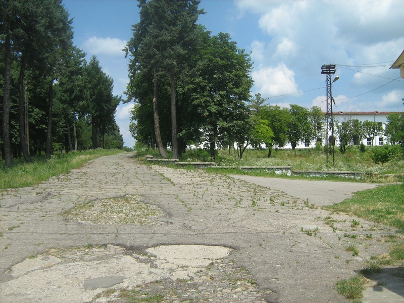 Arhiva foto