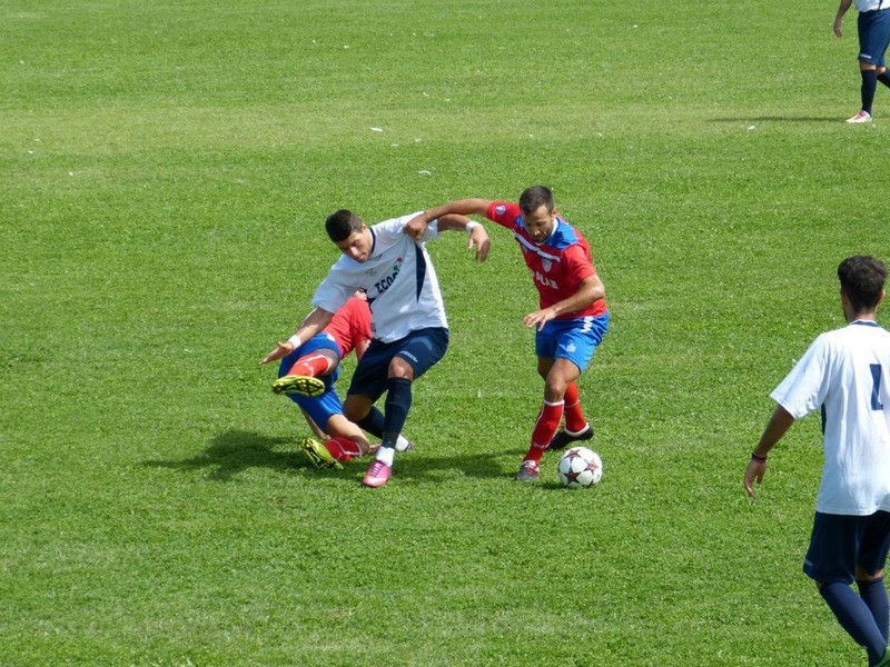 Arhiva foto