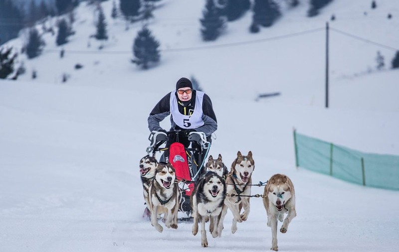 Campionul cu sutană: Un preot din Bistrița a devenit campion mondial la atelaje canine