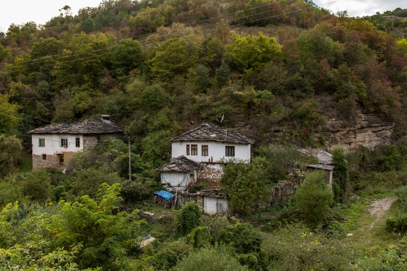 Arhiva foto