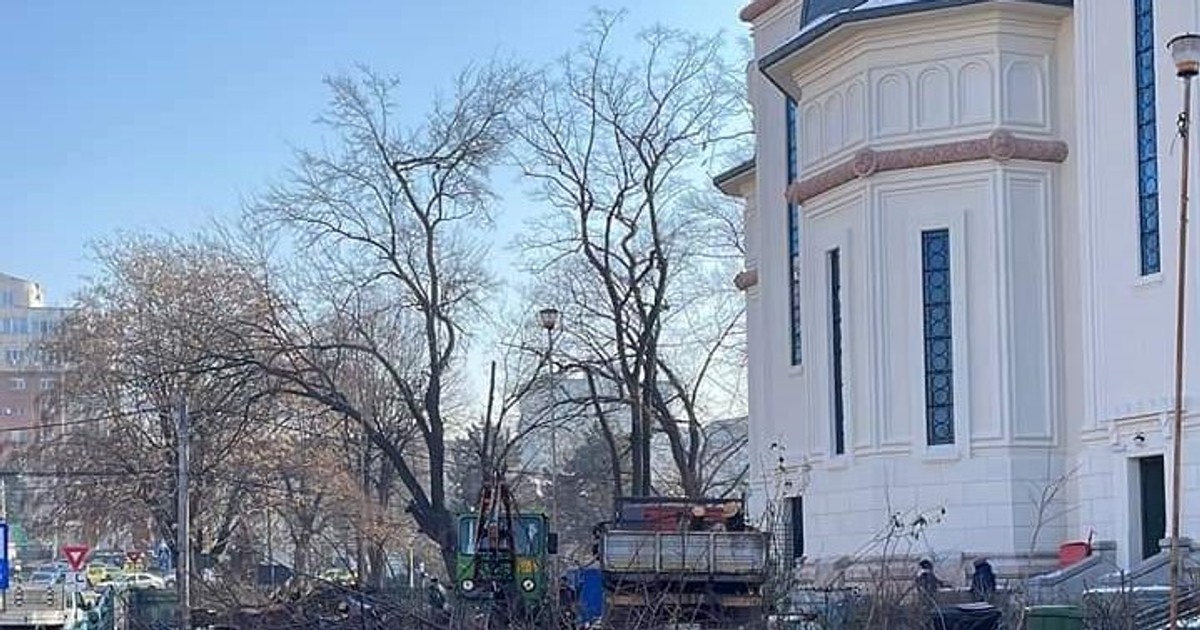 Arhiva foto